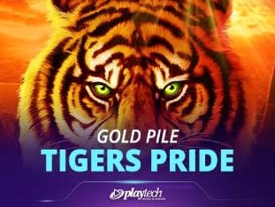 Gold Pile Tigers Pride game screenshot
